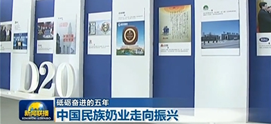 Five Years of Forging Ahead, China's National Dairy Industry Advances towards Revitalization